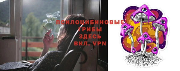 apvp Козловка