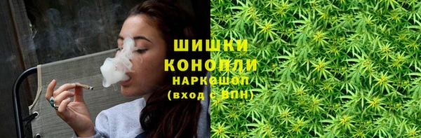 spice Кодинск