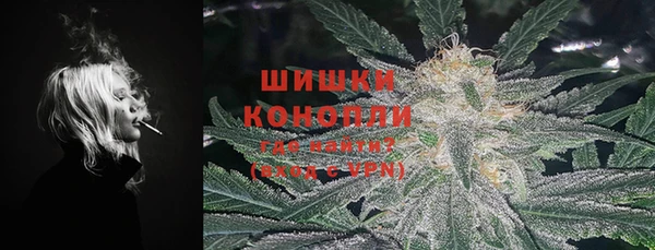 spice Кодинск