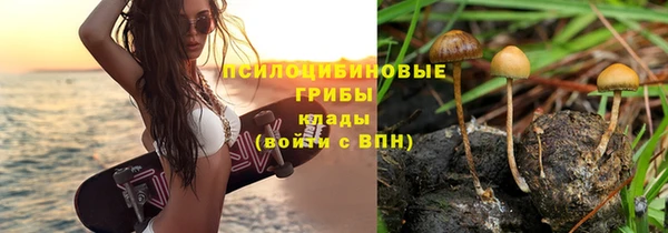 spice Кодинск